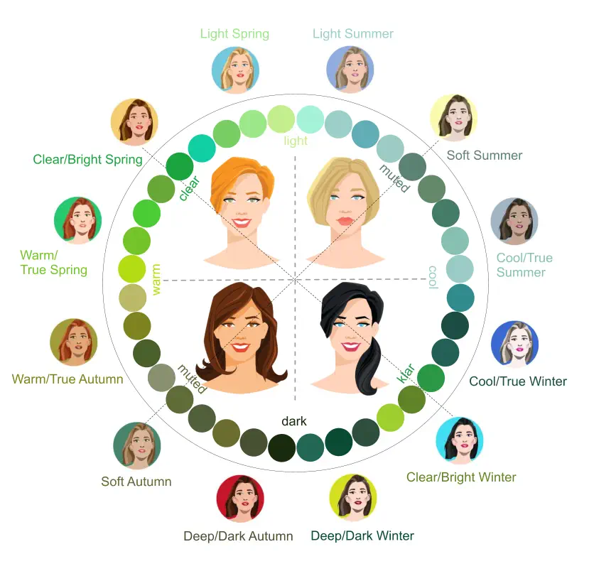 Color Types wheel in the 12 Seasonal Color System