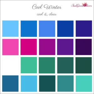 Cool Winter Accent Colors