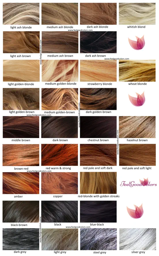 Hair colors examples for seasonal color analysis