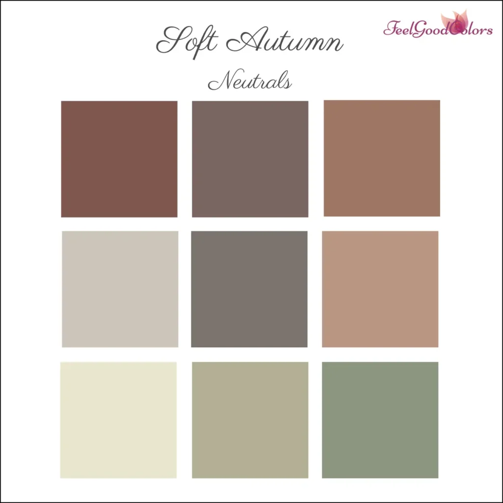 Soft Autumn Neutral Colors