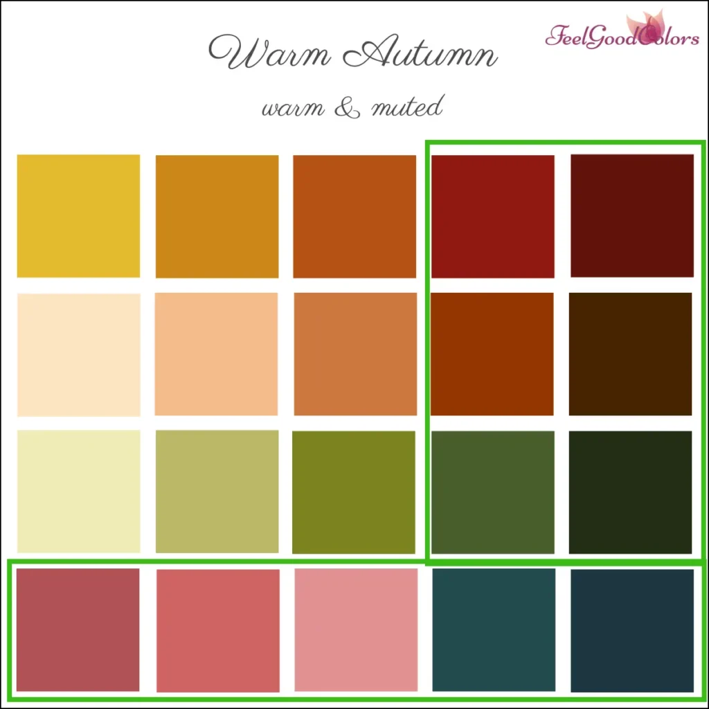 Soft Autumn Warmer & Clearer Accent Colors 2