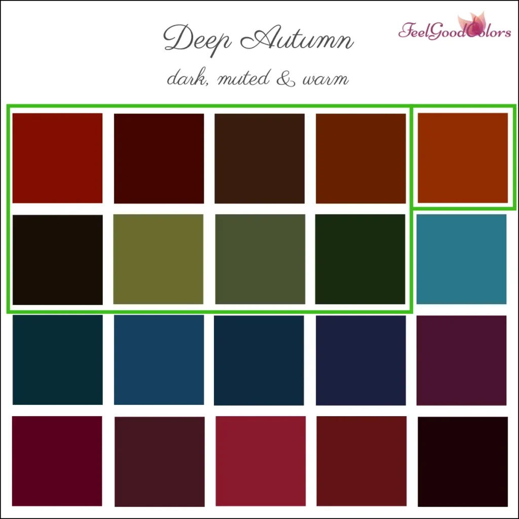 Soft Autumn warmer clearer Accent Colors 3