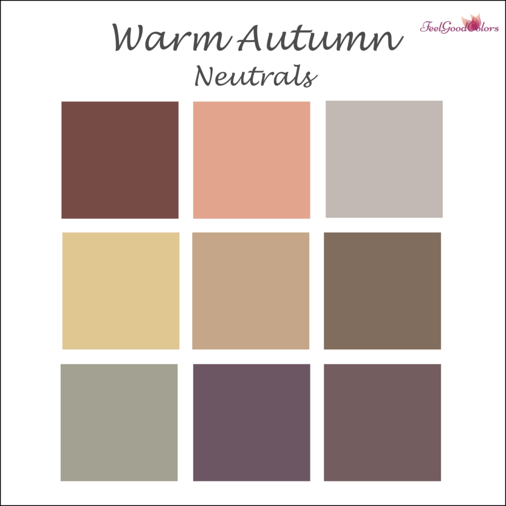 Warm Autumn Neutral Colors